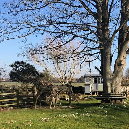 The Shepherd'S Hut @ Chichester Cottage ภายนอก รูปภาพ